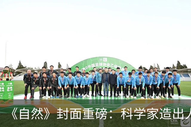 《自然》封面重磅：科学家造出人猿杂交细胞，意外发现人类全身骨骼被神秘减配！