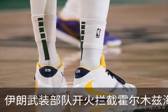 伊朗武装部队开火拦截霍尔木兹海峡“违规”通行船只；泽连斯基称乌美最快下周举行新一轮会谈；DeepSeek官宣新版本丨每经早参