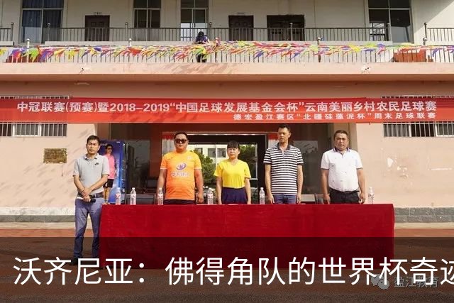 沃齐尼亚：佛得角队的世界杯奇迹属于所有球员，并不仅仅是我