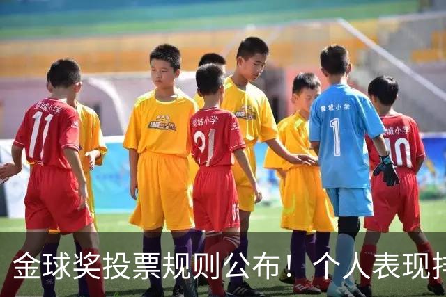 金球奖投票规则公布！个人表现排在第一权重